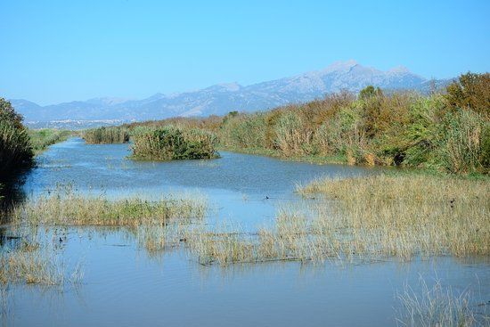 Park Narodowy S'Albufera Majorka